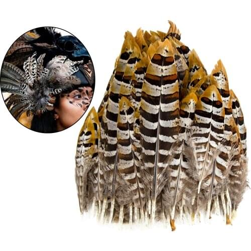 20pcs Natural Pheasant Tail Feathers Hair Hat Centerpieces DIY Feathers for Jewelry Earrings Making Decoration Crafts 6-11cm