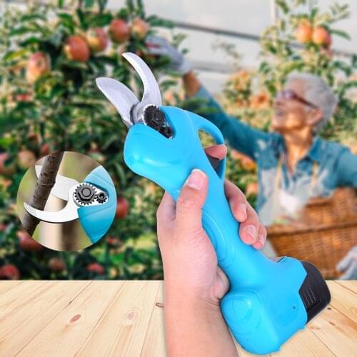 Electric Pruning Shears with 2 Pack Backup Rechargeable 2Ah Lithium Battery Powered Pruner Garden Clippers with Maintenance Kit