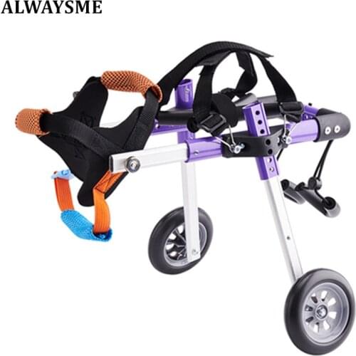 Ошейники, шлейки и поводки JayCreer China At AliExpress