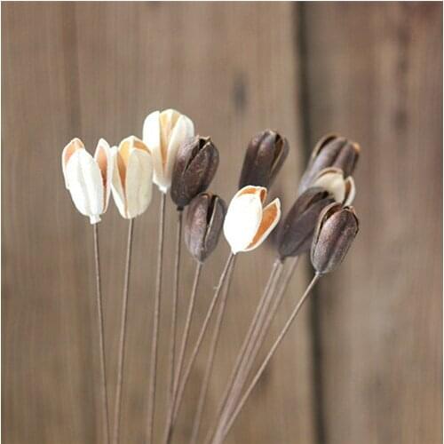 Natural dried flowers of silk orchid original ecological home coffee bar decorated dried flowers dried fruit