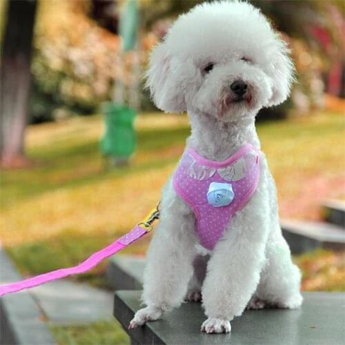 Dog Harness Adjustable Vest Pet Leash Puppy Walking Rope NylonBreathable Mesh Cat Collar Dog Training Harnesses Dogs Products