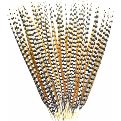 Natural Lady Amherst Pheasant Feathers for Crafts12-72" Reeves Venery Pheasant Tail Feathers for Decoration Carnival Accessories
