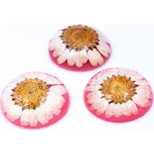 New Fashion 5pcs 25mm Natural Dried Flowers Flat Back Resin Cabochons Cameo-F1-01