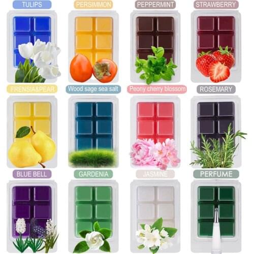Scented Wax Melts Aromatherapy Wax Scented Soy Wax Melts 6 Assorted Wax Warmer Cubes Tarts with Therapeutic Essential Oil