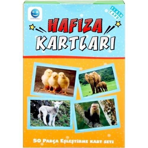 Flash Card Memory Cards 50s