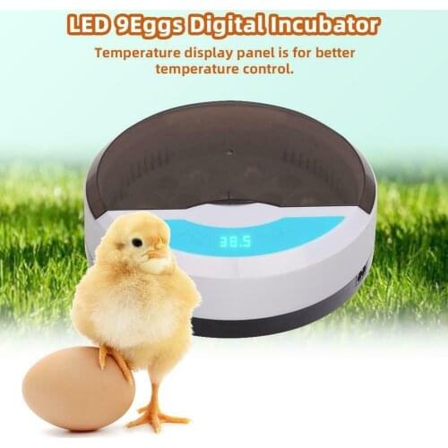 Mini 9 Eggs Incubator Stable Temperature Control Compact Button Led Light for Incubation Tools Automatic Hatcher Supplies