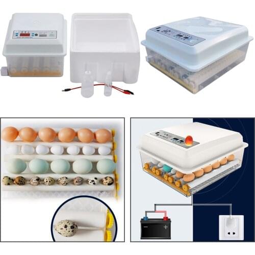 Egg Incubator Can Hold 16/36 Eggs;Automatic Egg Turner for Hatching Eggs. Bird Poultry Chick Hatcher. Hatch Chicken Quail Goose