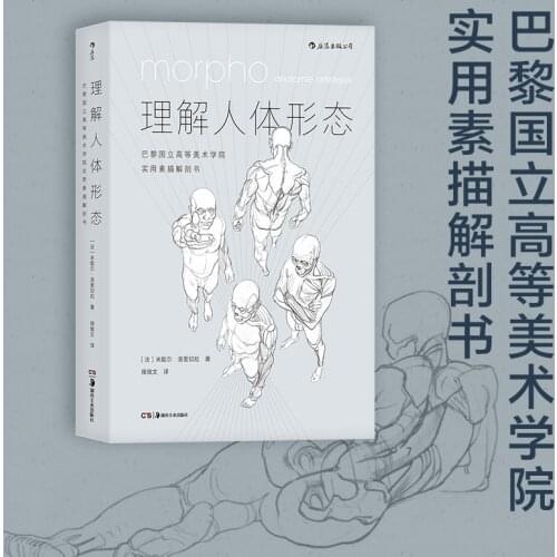 Understanding Human Language Form Zero Base Fine Art Beginner Students Self-study Book Art Painting Learning Sketch Sketch