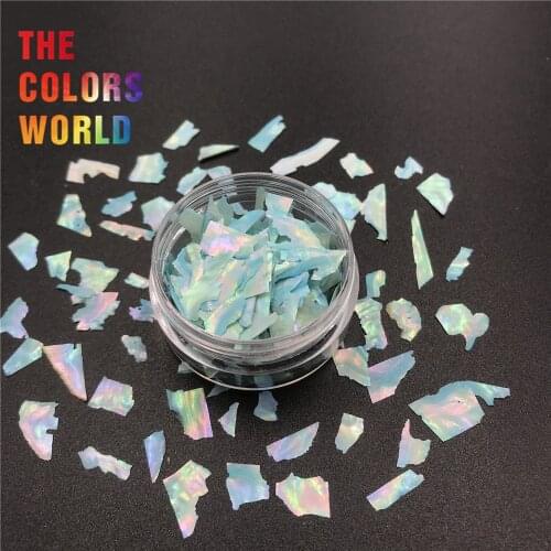 TCST-013 Irregular Shell Decoration Paper Flake Slice Nails Glitter Nail Art Decoration Tumblers Craft DIY Accessoires Festival