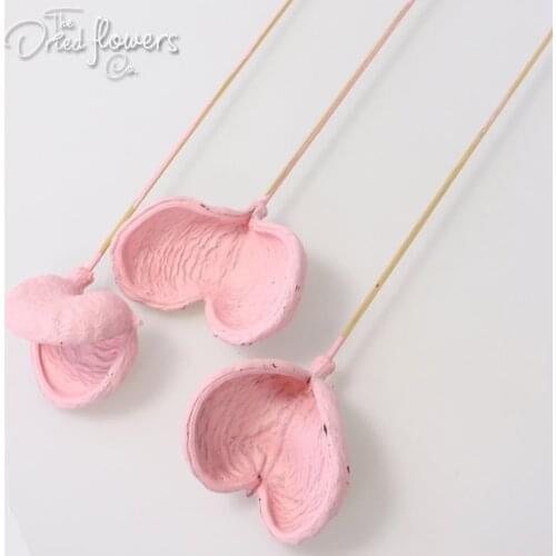 3pcs Badam on Stem Wedding Flowers Diy Bouquet Floristic Supply Natural Flowers Rustic Woodland Dried Tropical Flowers 7-9cm