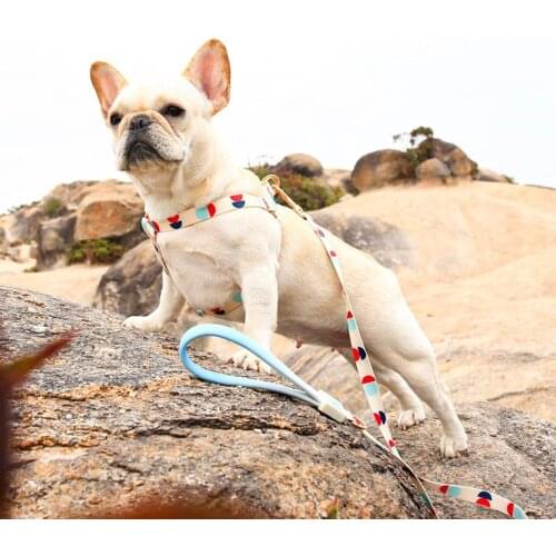 Y-shaped chest strap, pet supplies, dog leash, Corgi vest style dog walking rope chain, small and medium-sized dog collar