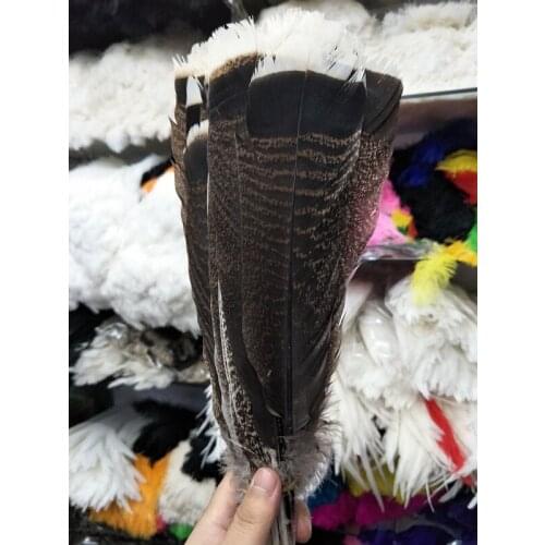 Free shipping wholesale Beatiful 100pcs scarce natural Bald Eagle feathers 25-30cm/10-12inch collect diy decoration Performance