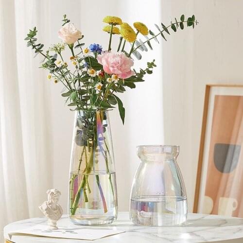 Indoor Vases Glass Bottle Decoration Table Flower Glass Vase Nordic Style Home Decor Living Room Decoration Glass Plant Holder