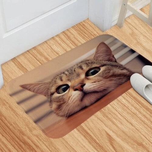 Indoor Entrance Doormat Flannel Non Slip Bath Mat For Bathroom Absorbent Carpet Rugs Machine Washable Floor Mat Small Area Rug