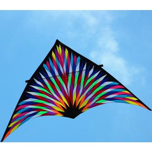 Free shipping 6sqm large delta rainbow kite big nylon ripstop outdoor squid toy kites reel bag adult kites eagle parachute power