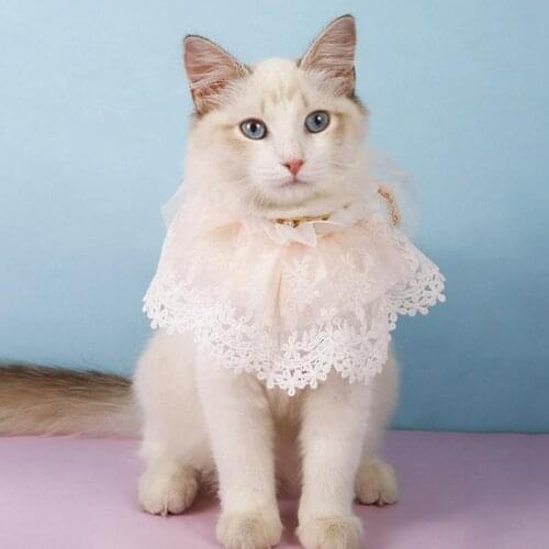 1pc Cat Lace Bandana Fashion Cute Cat Costume Pink Blue Pet Lace Bib Scarf For Kittens Pet Supplies Clothing Gatos Accessories