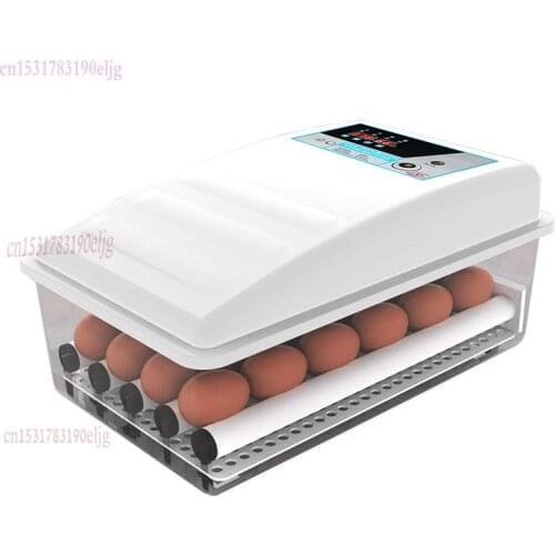 Chick Incubator Small Home Incubator Full Automatic Intelligent Home Incubator Chicken Seedling Water Bed Incubator