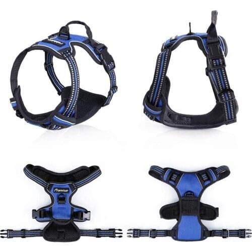 Breathable Dog Vest Harness Leash Reflective Pet Harnesses For Outdoor Adventure Training Running Pets Accessories