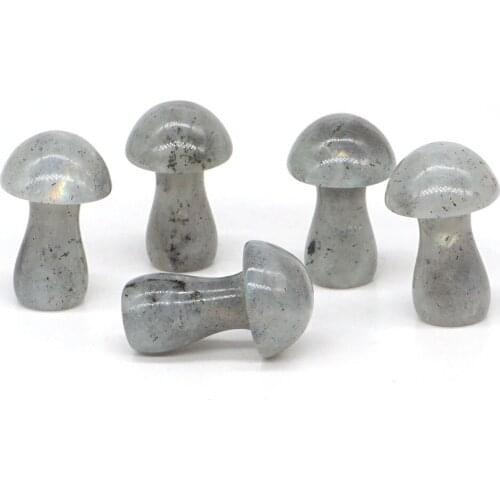 2pc Natural Gemstone Labradortie Crystal Hand Carved Stone Mushroom Reiki Healing Decor