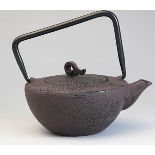 Cast Iron Tea Pot Set Japanese Teapot Tetsubin Kettle Drinkware KungFu Tools Stainless Steel Strainer Tea Kettle 450ml