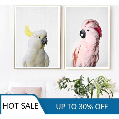 Pink Cockatoo Bird Wall Art Canvas Painting Posters And Prints Wall Decor Pictures Animal Parrot Photography Home Room Decor