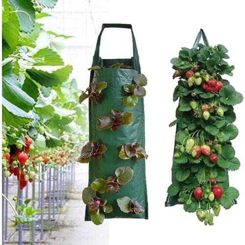4 8 Pockets Strawberry grow pot vertical Garden Plant Bags Planter Planting PE wall hanging Potato Plants For Veg Herb Flower o1