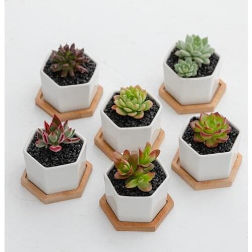 6 pcs/set Succulent Flower Pot Potted Ceramic Creative White Flower Pot Small Hexagonal Fleshy White Porcelain Flower Pot Set