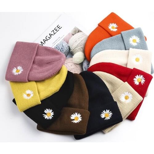 Daisy Embroidery Winter Hats For Women Men Beanies Knitted Solid Cool Hat Girls Autumn Female Beanie Warm Bonnet Casual Cap