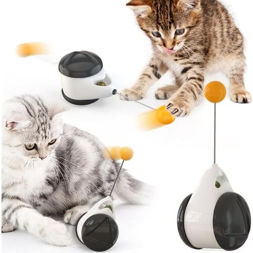 1pc Pet Training Interactive Toys Balance Swing Car Toy Cat Educational Tumbler Toys with Catnip Ball Pet Accessories