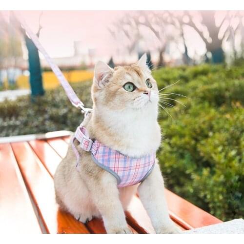 Cat traction rope walking cat rope chain anti-break away cat vest type adjustable rope pet supplies