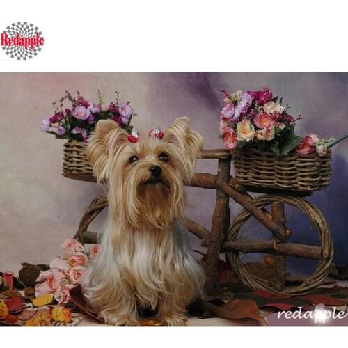 DIY Diamond painting Cross stitch kits dog Pictures of rhinestone For square mosaic full embroidery Yorkshire Terrier decoration