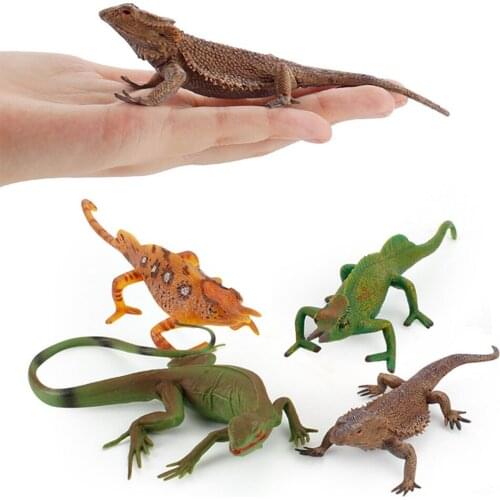Simulation Reptile Animals Model Toy Birthday Gift for Children 8 Kinds Lizard Chameleon Plastic Action Figures Educational Toys