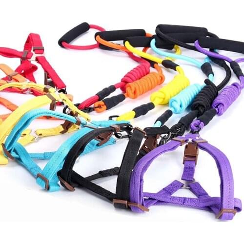 PUTIMI Harnesses