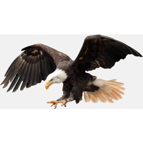 Personality Flying Fierce Eagle Car Sticker Bumper Motorcycle Decor High Quality Vinyl Scratches Waterproof PVC 9.2cm X 17.7cm