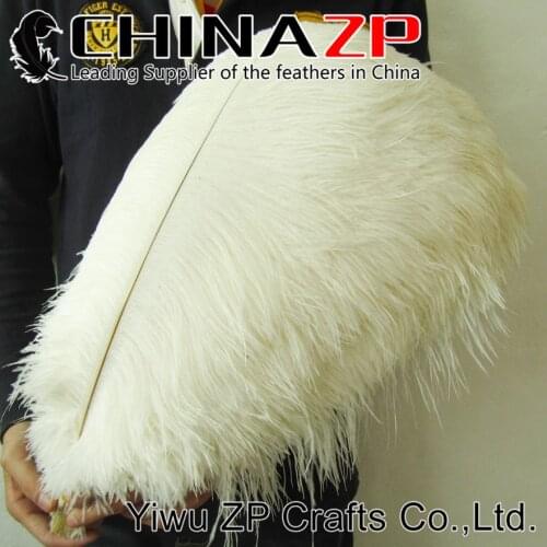 CHINAZP Factory 50pcs/lot 55-60cm(22-24inch) Length Top Quality Cream Large Ostrich Feathers for Wedding Decor