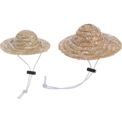 Hawaiian Style Pet Sombrero Hat Dog Cat Hat Small/Large Diameter 14cm 16cm