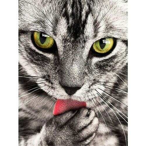 Animal Cat Printed Fabric 11CT Cross Stitch DIY Embroidery Kit DMC Threads Knitting Hobby Handiwork Painting Different Adults
