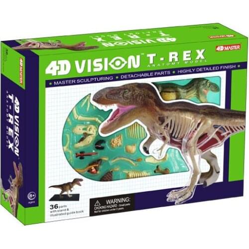 4D MASTER simulation dinosaur Medium size Tyrannosaurus anatomical model free shipping