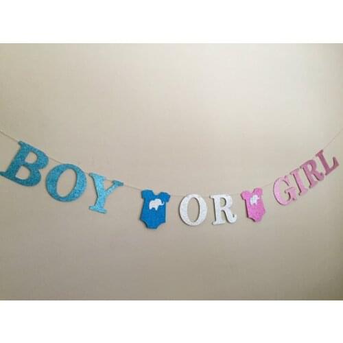 Glitter Boy or Girl Baby Shower Gender Reveal Banners Party Photo Prop garlands buntings custom colors and age and name