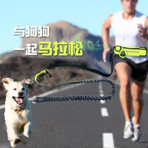 TECHWILL Hands Free Dog Leash Collar Training Rope Pouch Phone Bag Walk Running Jogging