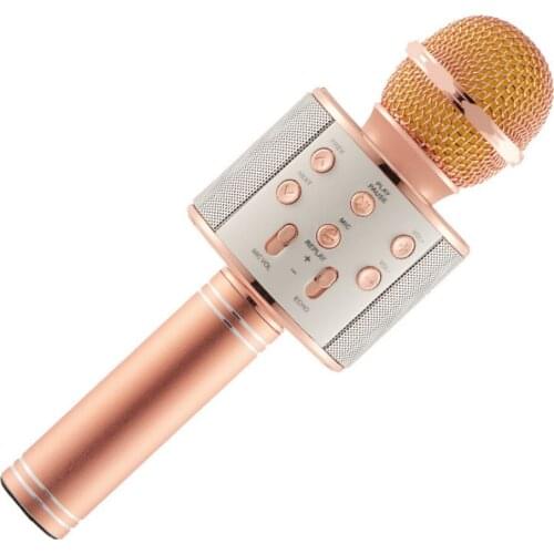 Microphones Wster China