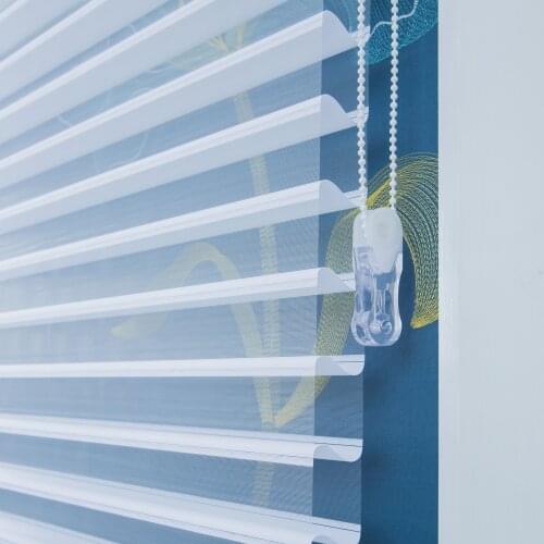 Fashionable Transparent Window Curtains Customized Shutters Roller Blinds Blackout Triple Roller for Office Living Bed Room