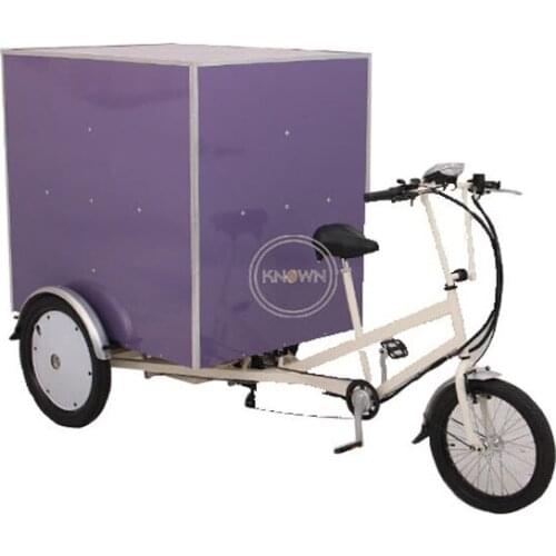 Hotel Electric Cargo Bike 3 Wheel Express Tricycle Outdoor Transport Cart for Sale