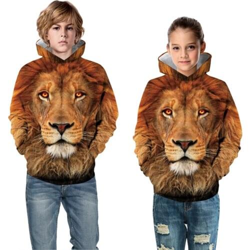 3-12 Years Lion 3D Print Boys Hoodies Teens Autumn Hooded Sweatshirt For Boys Kids Clothes Long Sleeve Pullover Tops