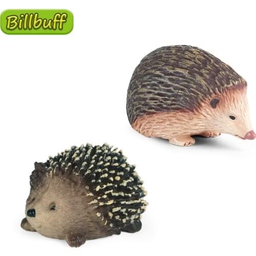 Simulation Animals Plastic Action PVC Solid Models Hedgehog Figures Collection Toys for children Educational Kids Cognition Gift