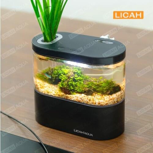 LICAH Home Aquariums