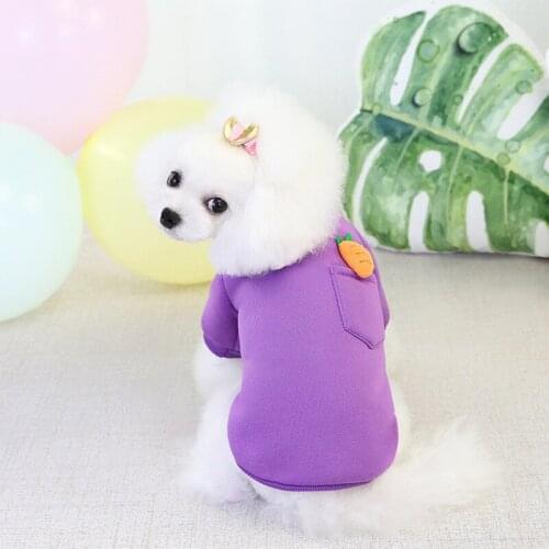 Pet Cat Halloween Cat Dog Cosplay Costume Costume Pet Halloween Costume Cape And Christmas Party Witch Costume Suit Witch Cloak