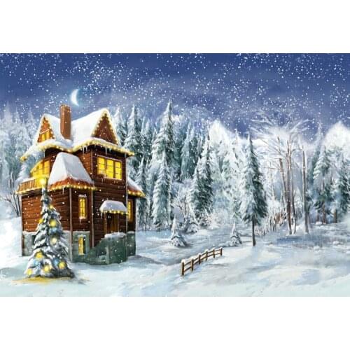 WinterChristmas scene Photography Backgrounds Vinyl cloth High quality High quality Computer print party backdrop