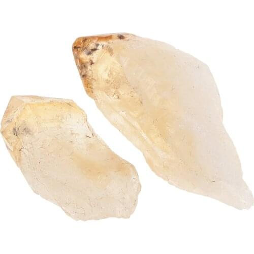 Rock & Mineral Collection Geology Gem Kit in Clear Case