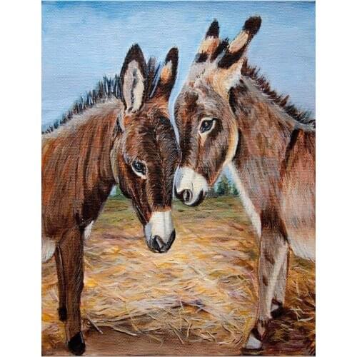 JMINE Div 5D Donkey love Full Diamond Painting cross stitch kits art High Quality Animal 3D paint by diamonds
